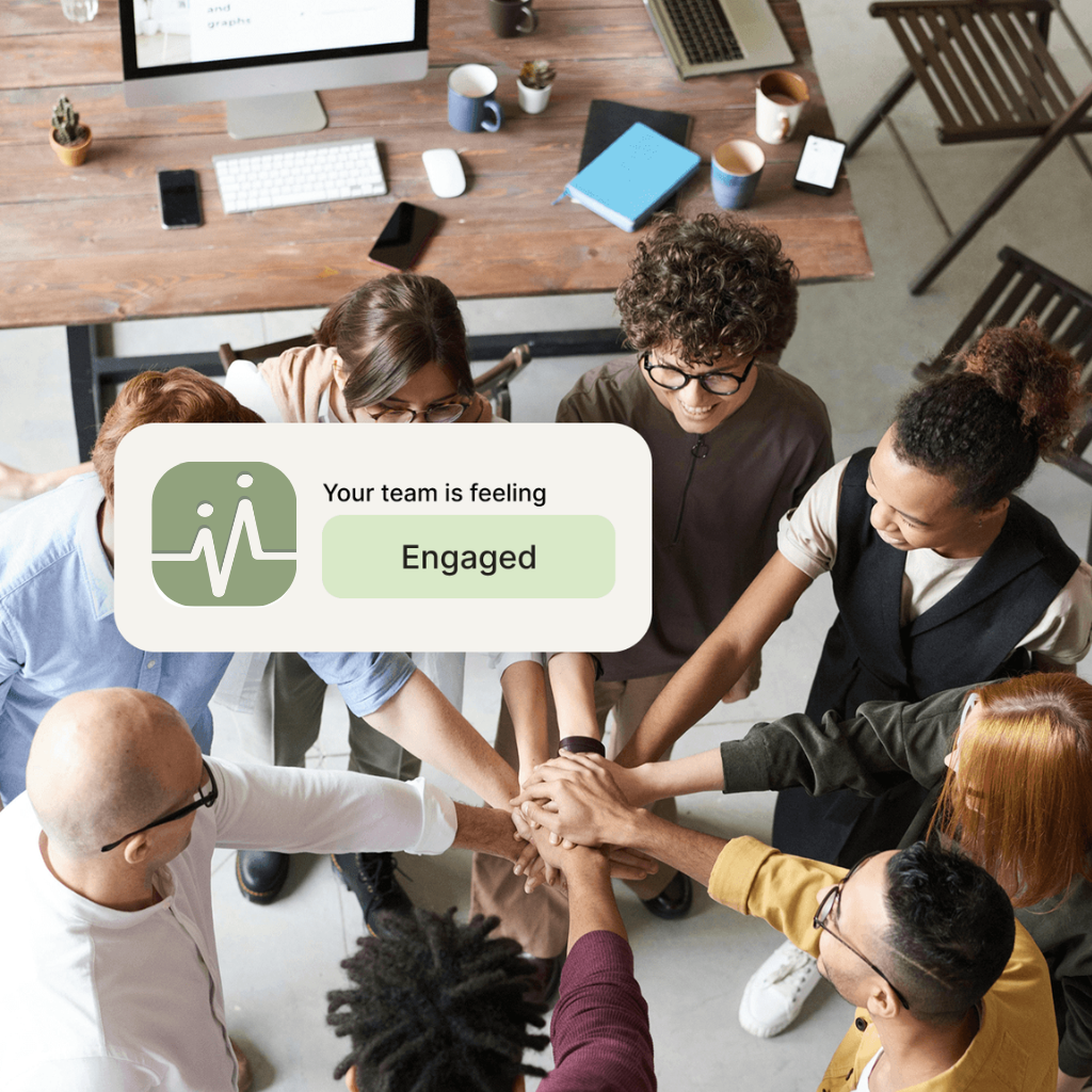 See the Bigger Picture Safely